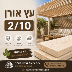 עץ אורן 2/10 מוקצע